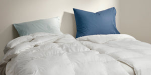 Visual Category Module Image