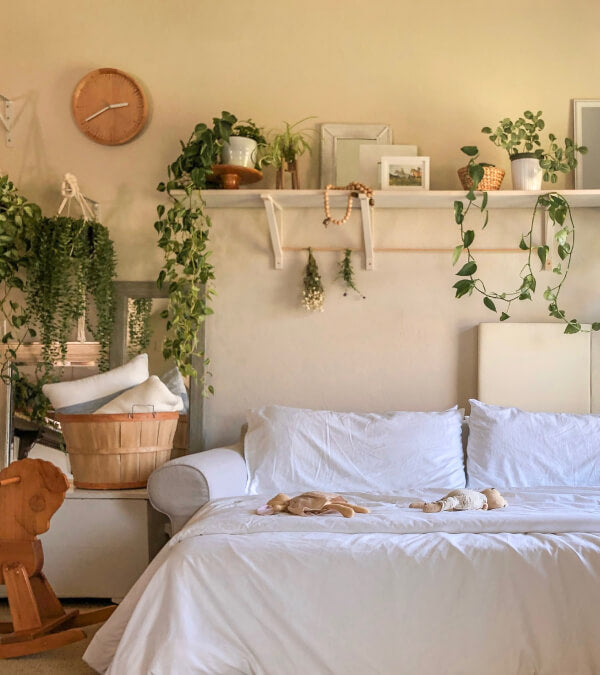 Sleeper sofa, made up in white sheets and lots of plants in the room