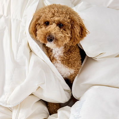 How to Get Better in Bed: Understanding the Best Bedding Material for You