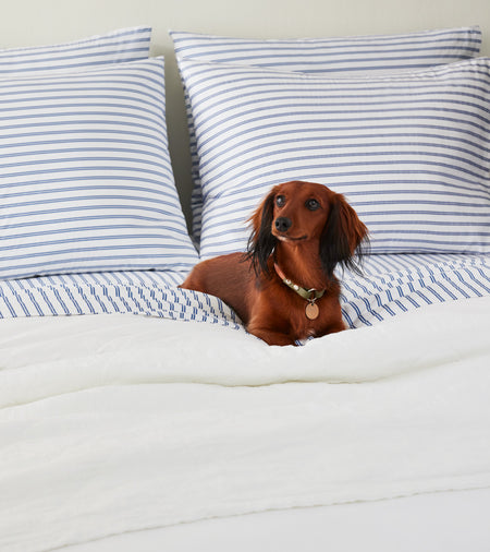 Spotlight Image Card