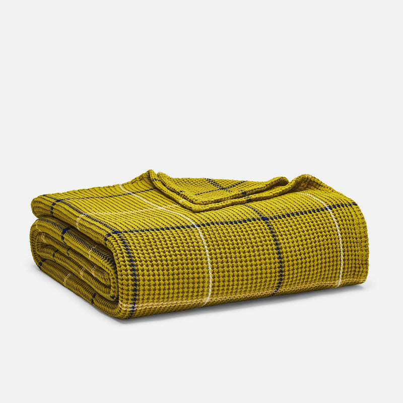 PDP2 Option[Avocado Windowpane] MAIN