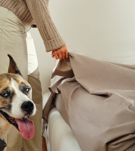 Spotlight Image Card