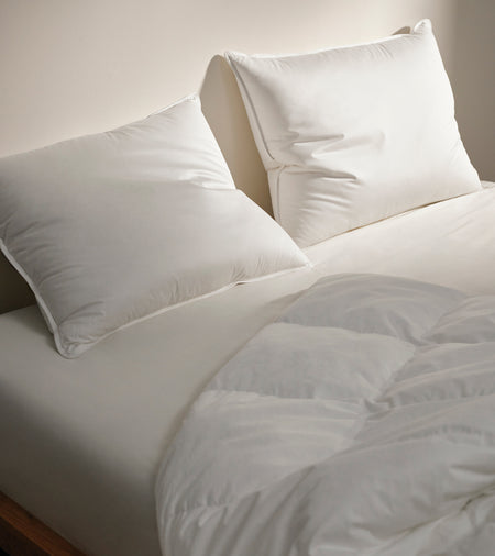 Spotlight Image Card