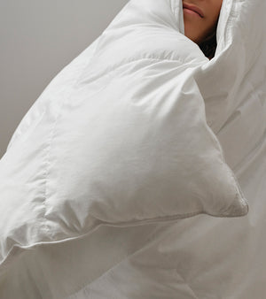 Visual Category Module Image