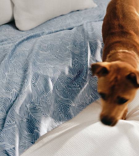 Spotlight Image Card