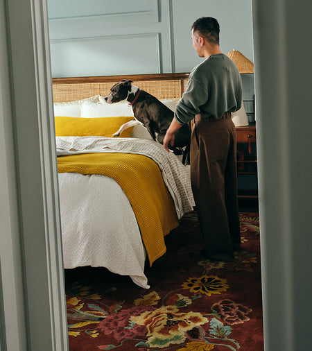 Spotlight Image Card