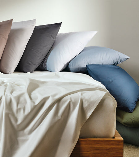 Spotlight Image Card