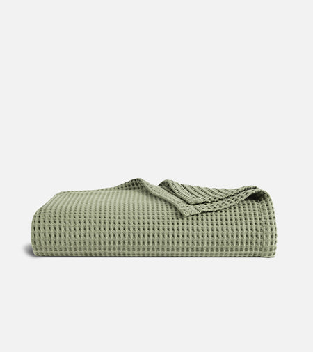 Spotlight Image Card