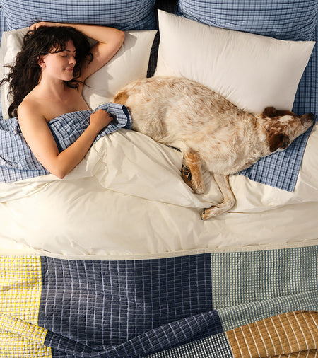 Spotlight Image Card