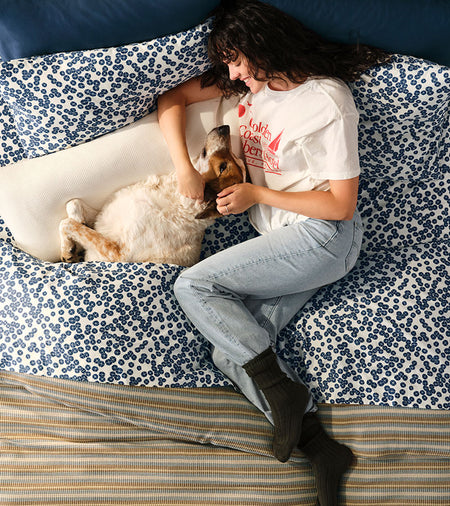 Spotlight Image Card