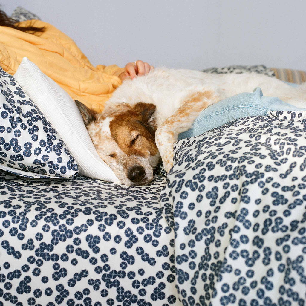 PDP2 Option[Floating Petals in Abyss] LIFESTYLE