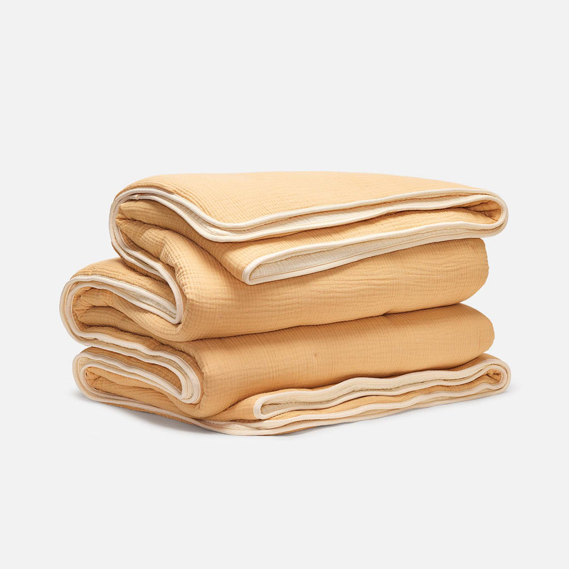 PDP2 Option[Apricot Two Tone] MAIN