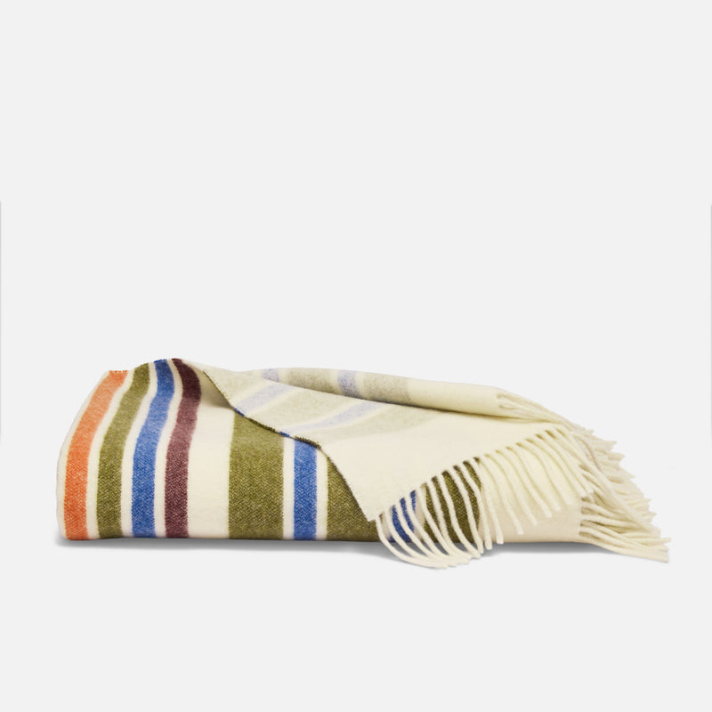 PDP2 Option[Algae Stripe] MAIN