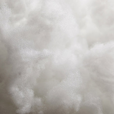 Spotlight Image Card