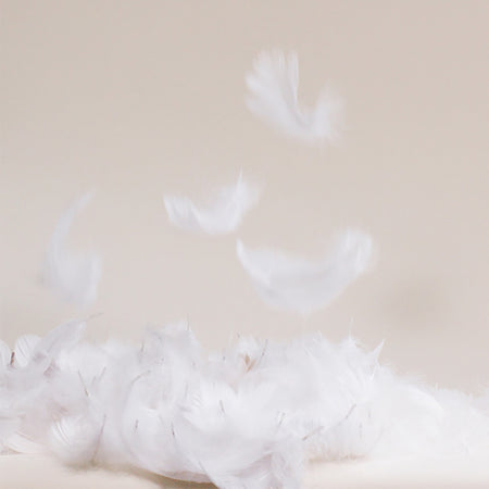 Spotlight Image Card