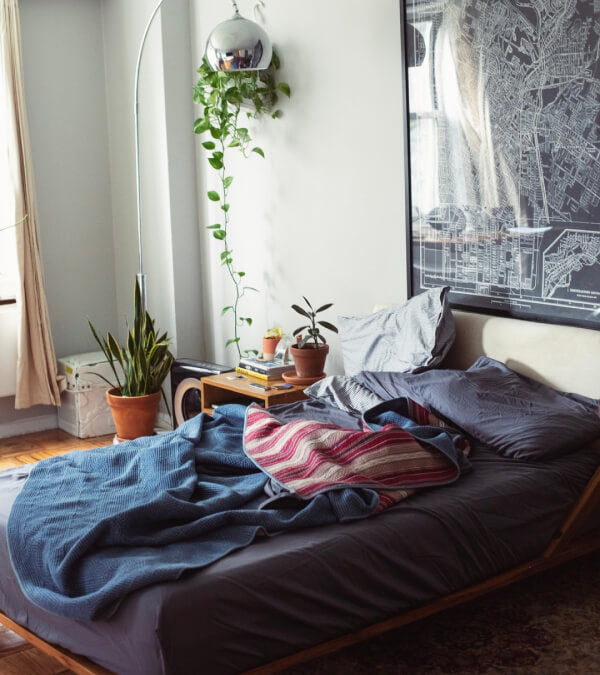 Unmade bed with graphite sheets on it.  Lots of plants in the bedroom