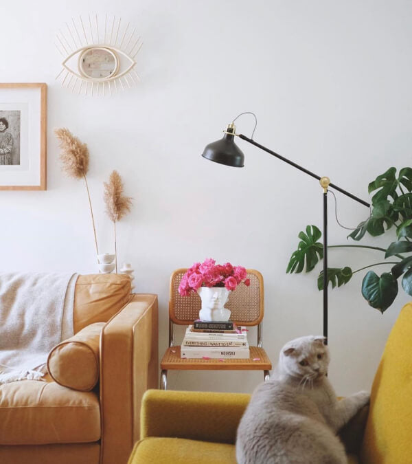 Living room with a cognac leather sofa, a grey wool throw blanket, a big palm plant, and a cat.