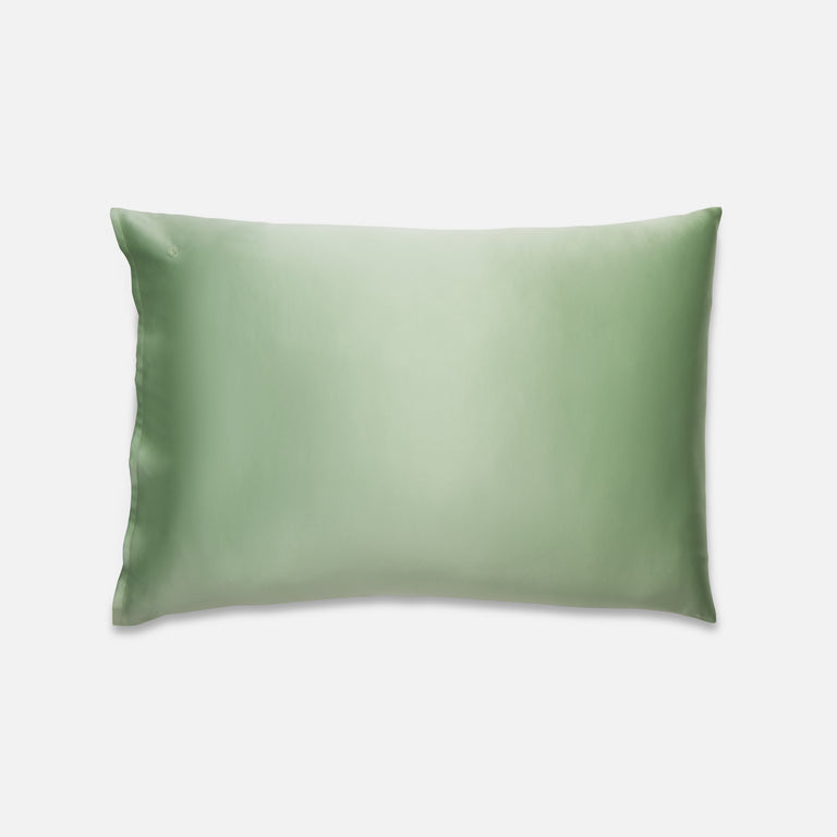 Standard / Cool Mint
