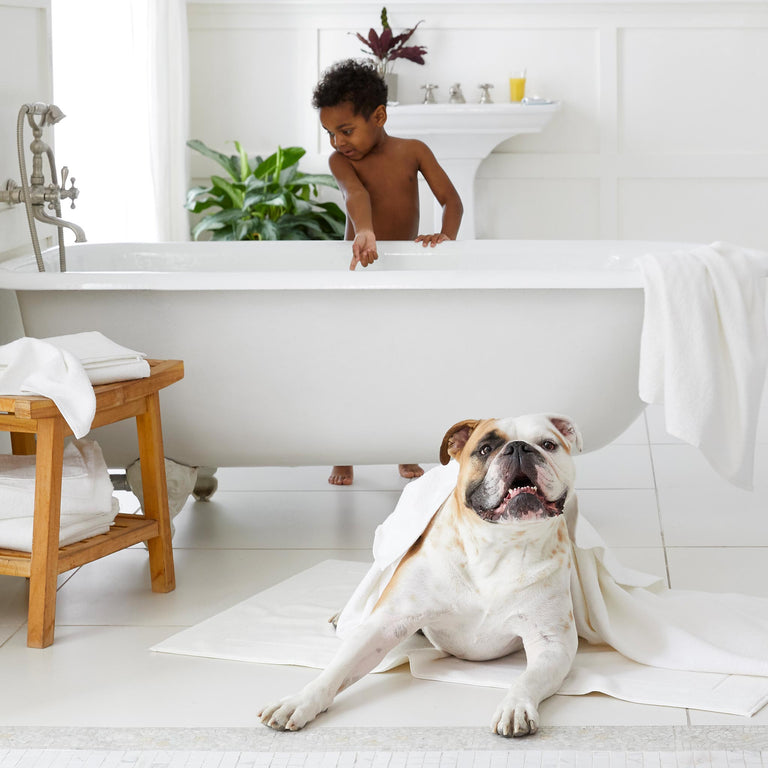 Highly Absorbent Classic Bath Towels in White by Brooklinen - Holiday Gift Ideas